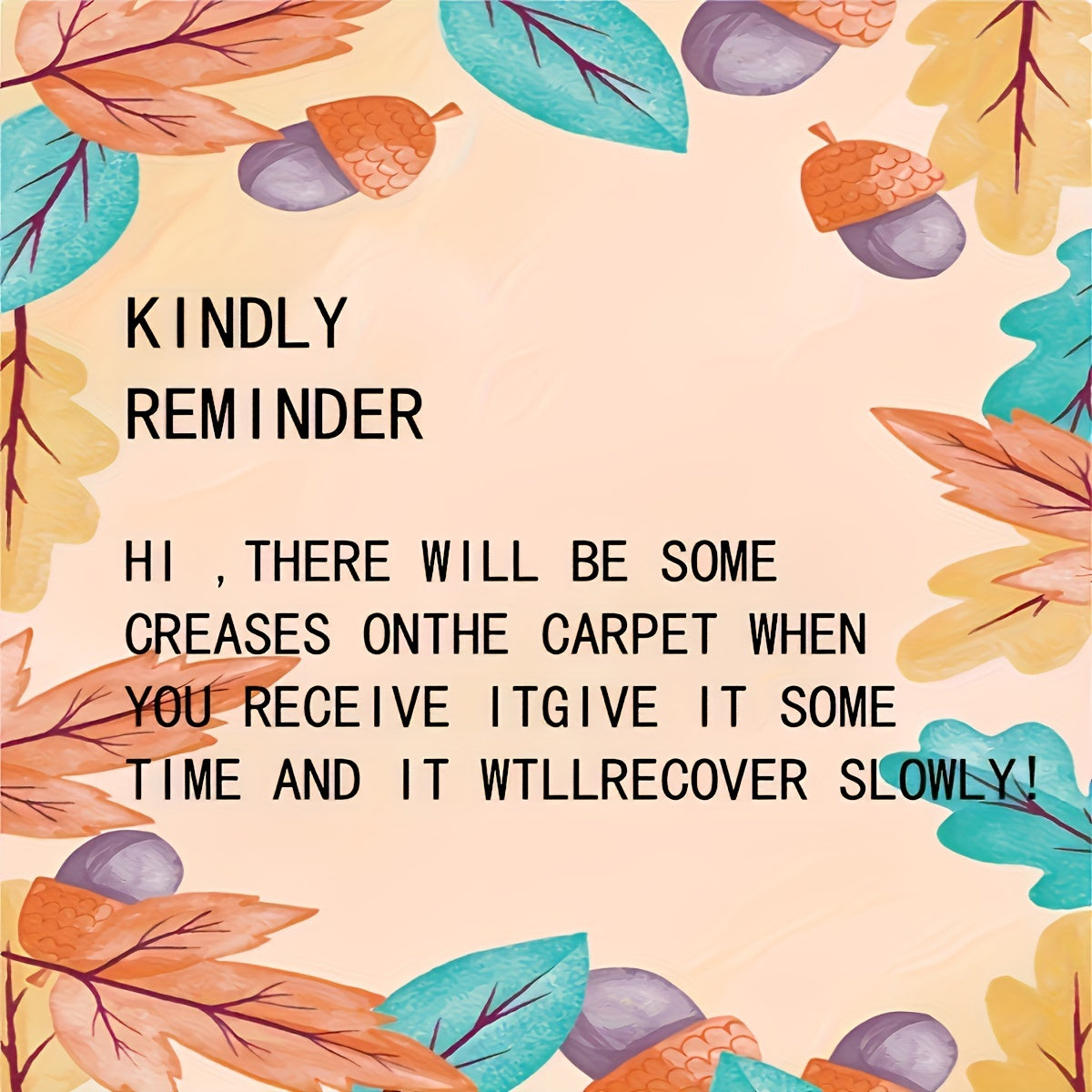 Black Faux Fur Area Rug, Soft and Luxurious Rectangle Floor Covering for Living Room and Bedroom