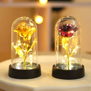 Golden Foil Rose Night Lamp Decorative Gift for Special Occasions