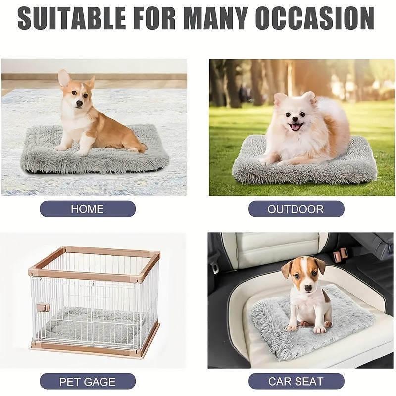Small Pet Square Polyester Bed with Memory Foam and Odor Control