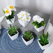 6pcs Artificial Succulents in White Pots for Home Office Decor Realistic Mini Plants