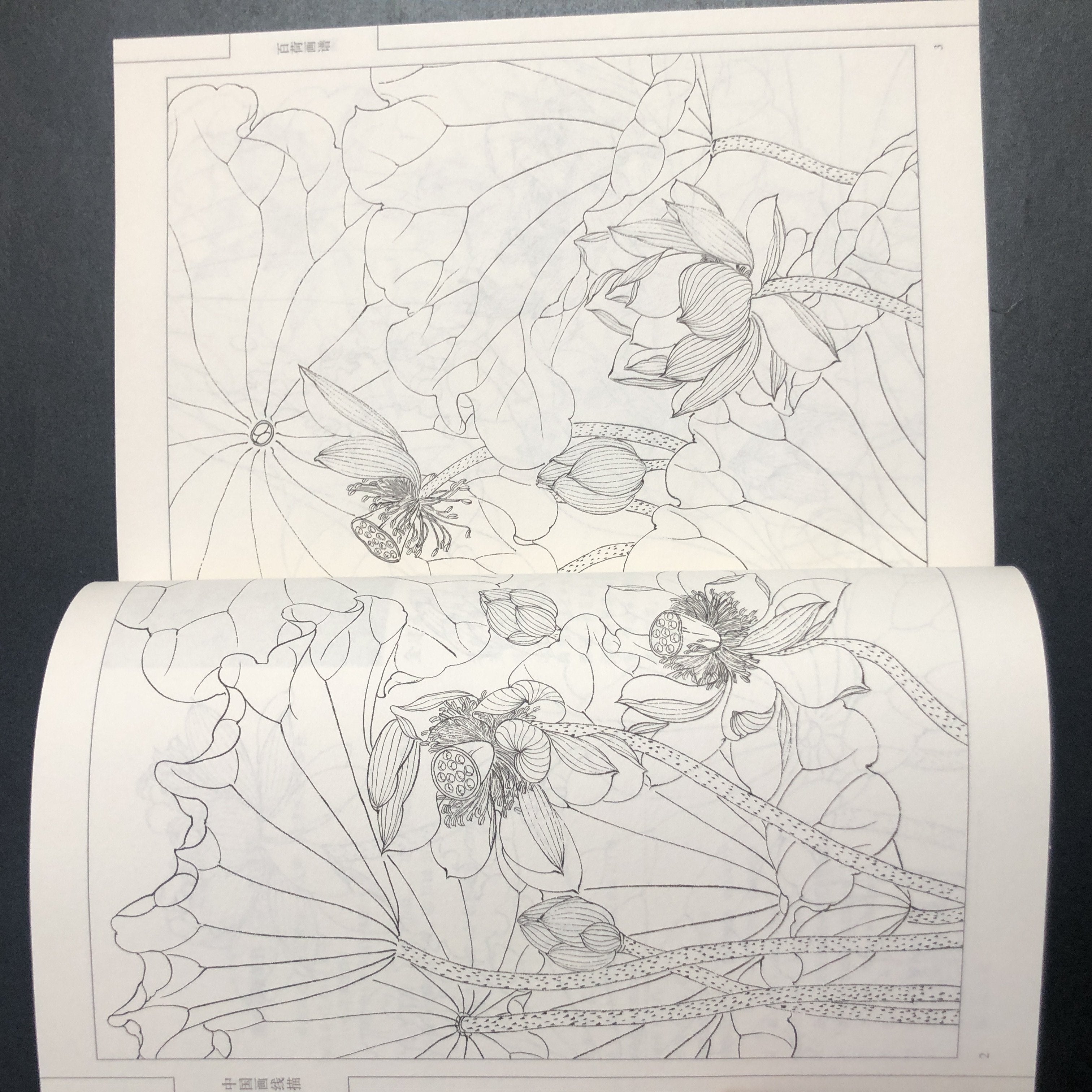 Chinese Traditional Art Painting Manual Paperback Chinese Language