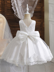 Toddler Girl Dress Lace Tulle Princess V-Neck Sleeveless for Formal Occasions