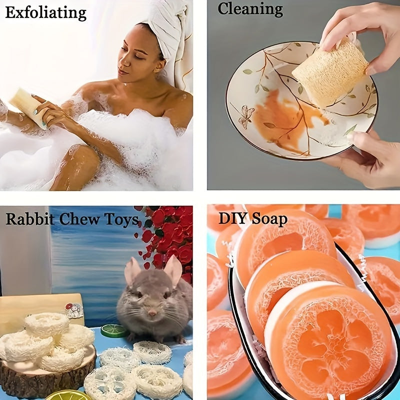 Ekologik toza Ecoclean tabiiy qovoq idish tozalagichlarining 8 ta yoki 4 ta to'plamini qo'lga kiritishingiz mumkin. Ushbu o'rtacha qattiqlikdagi tozalagichlar oshxona va hammom tozalash uchun juda mos keladi. Tabiiy tolalardan tayyorlangan, ular ko'chma.