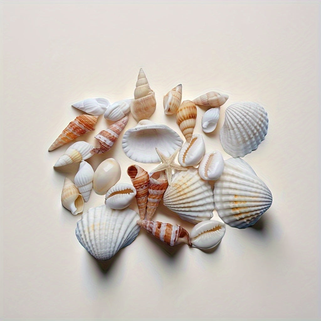 Seashell and Conch Mix for Aquarium Decor Fish Tank Ornaments Crafts