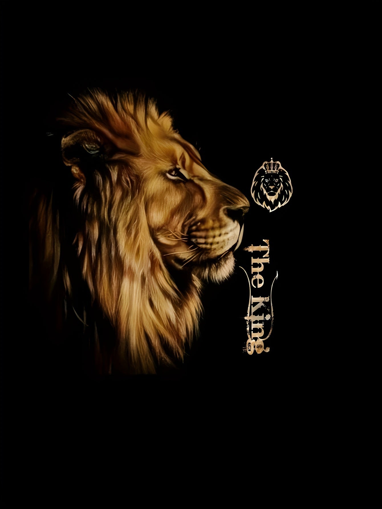 Big & Tall Men's Athletic Wear Set Short-Sleeve T-Shirt and Long Pants Summer Fall Polyester