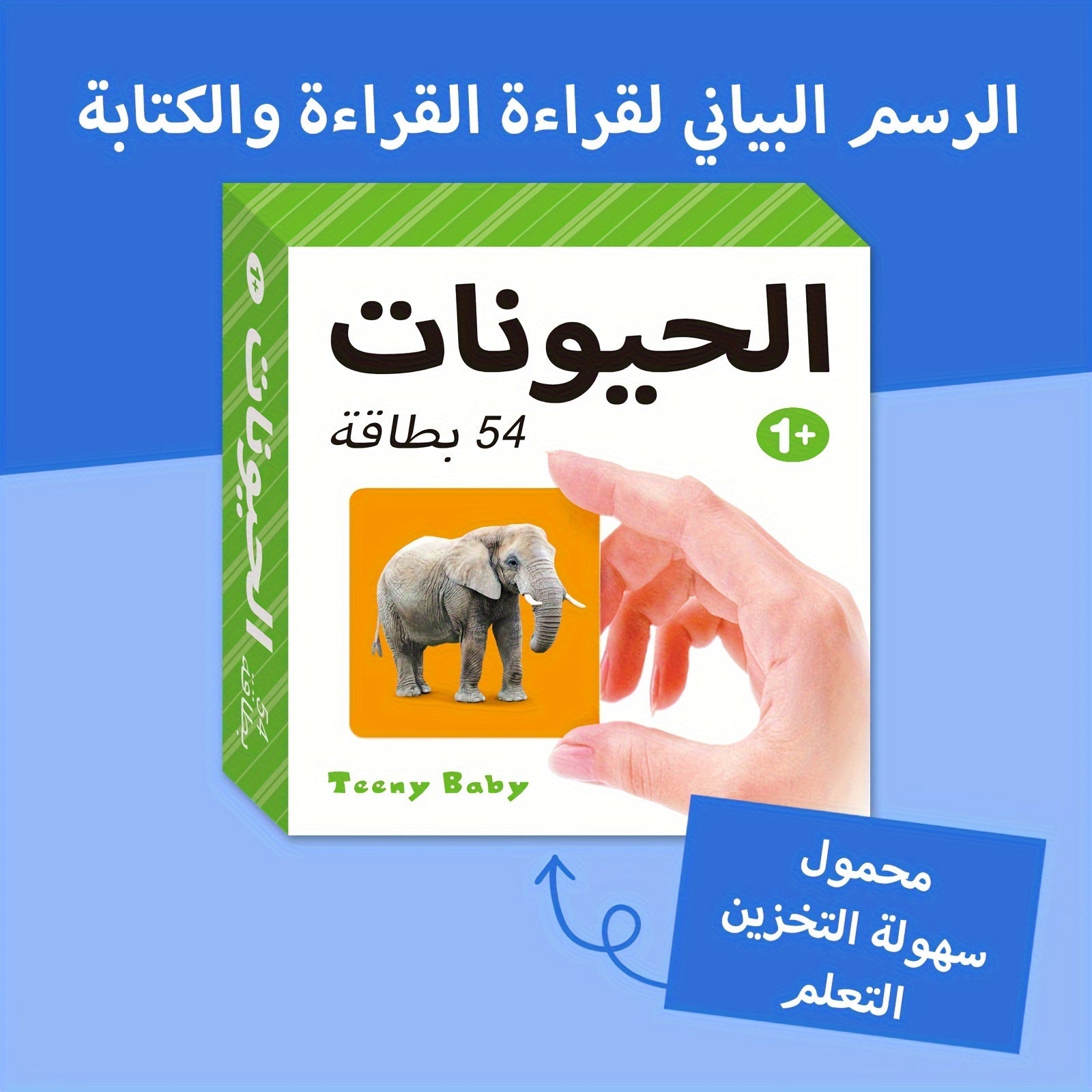54-Card Arabic Language Learning Flashcards for Kids Ages 1-6 Educational Animal Vocabulary Set