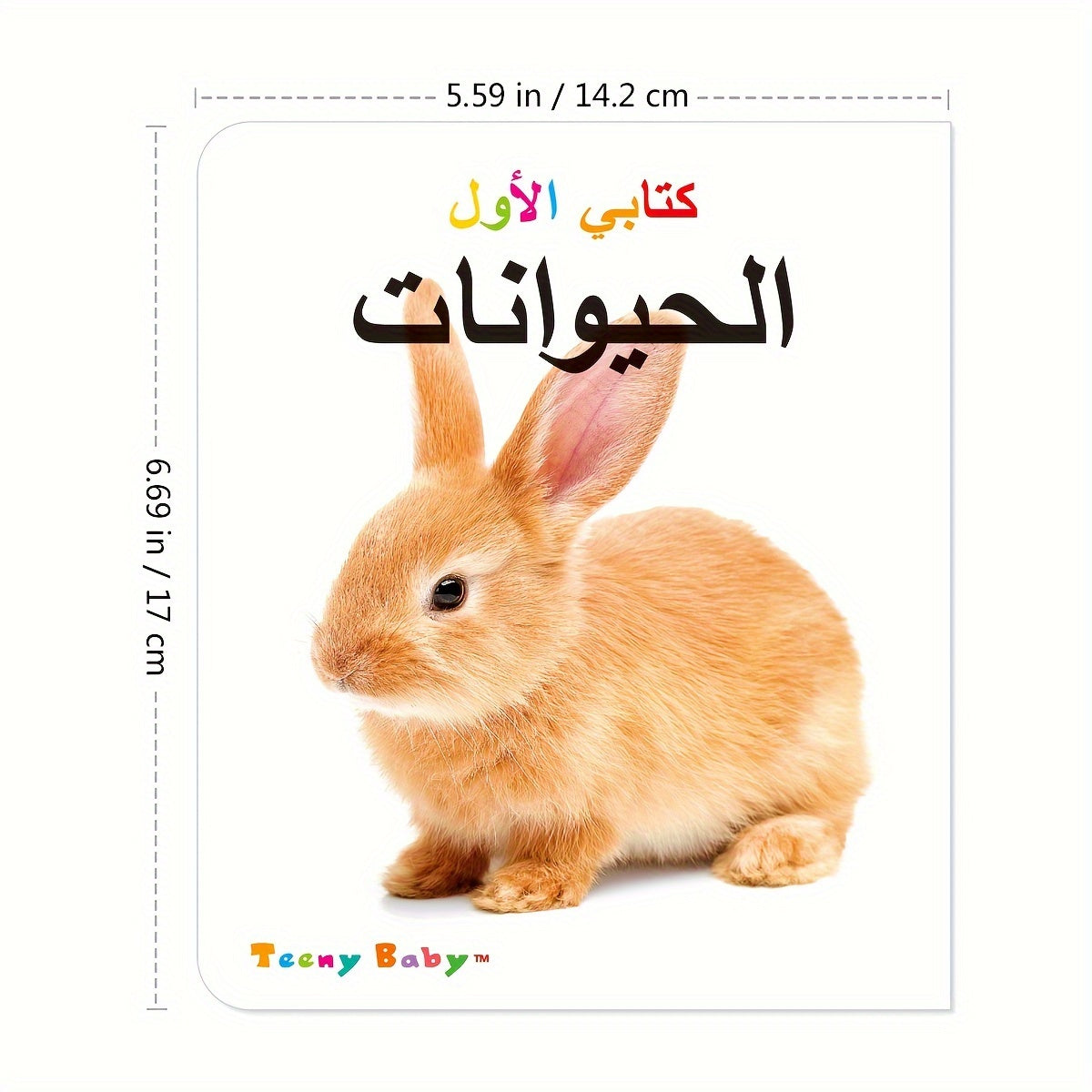 10 Arabic Children's Books from My First Identification Series for Ages 4+
