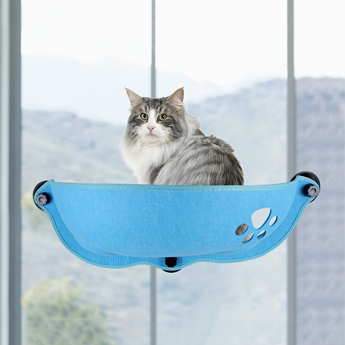 Hamaca para gatos en forma de media luna con ventosa para gatos pequeños y medianos Sunlight Lounge