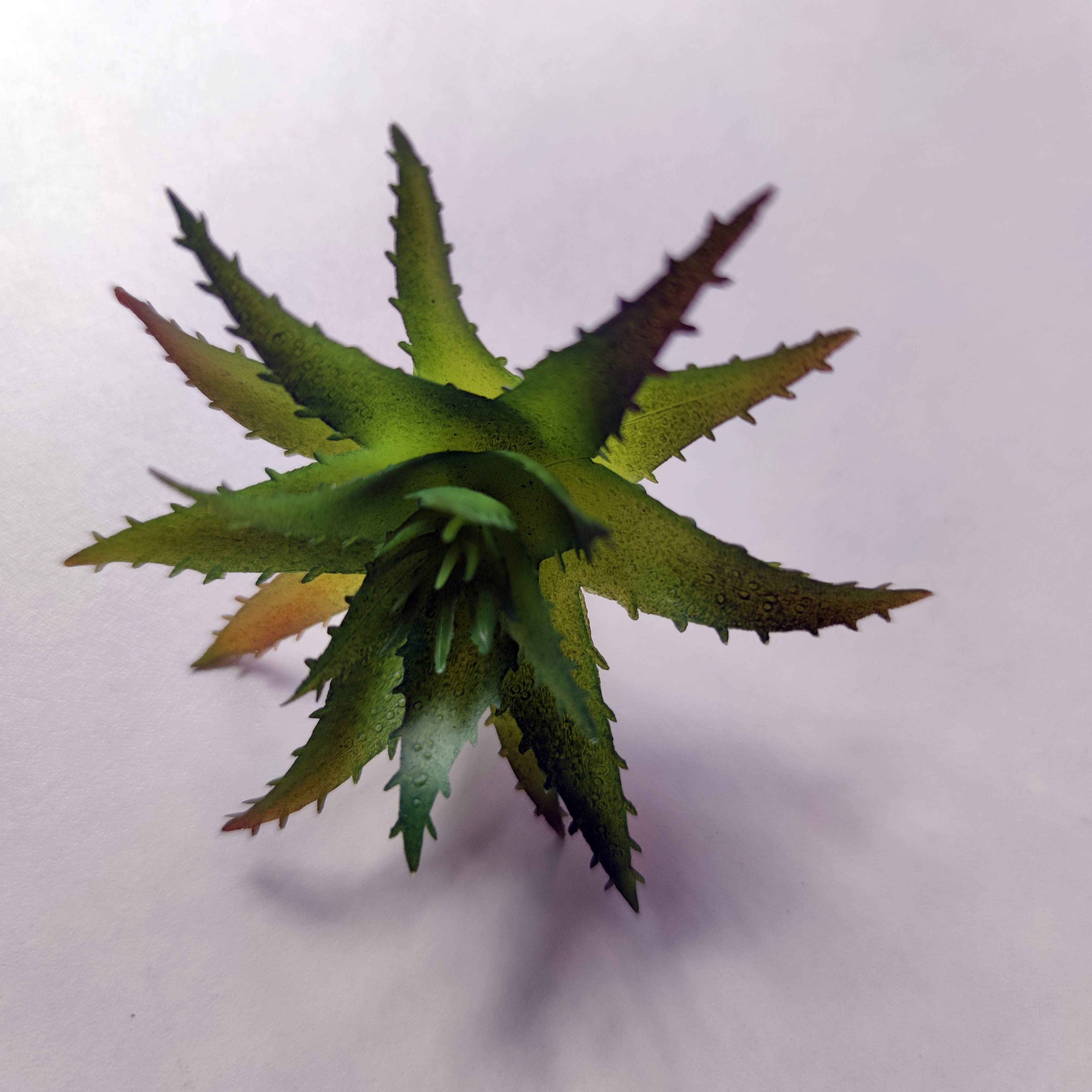 1 шт. Маленькие искусственные суккуленты для домашнего или столового декора.