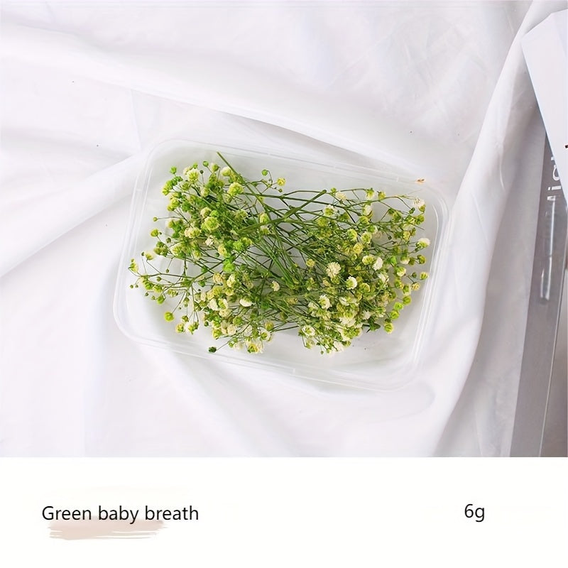 Бохо-Шик Рождественский Набор для Ремесел: Натуральный Растительный Декор для DIY Проектов, Венков и Подарков