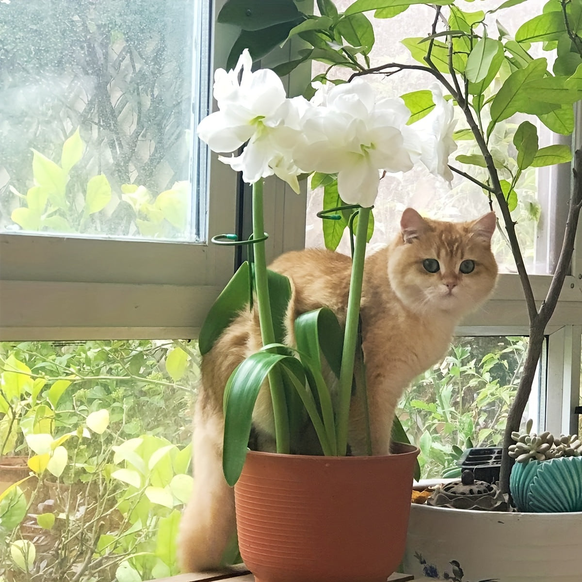 Metal Garden Plant Stakes Set of 5 or 10 for Supporting Single-Stem Flowers Green Steel Weather-Resistant