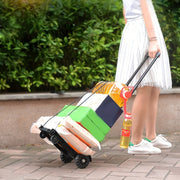 Portable Trolley with Aluminium Alloy Tie Rod, 2 Elastic Ropes, Folding Telescopic Cargo Cart, 2 Wheels, Black