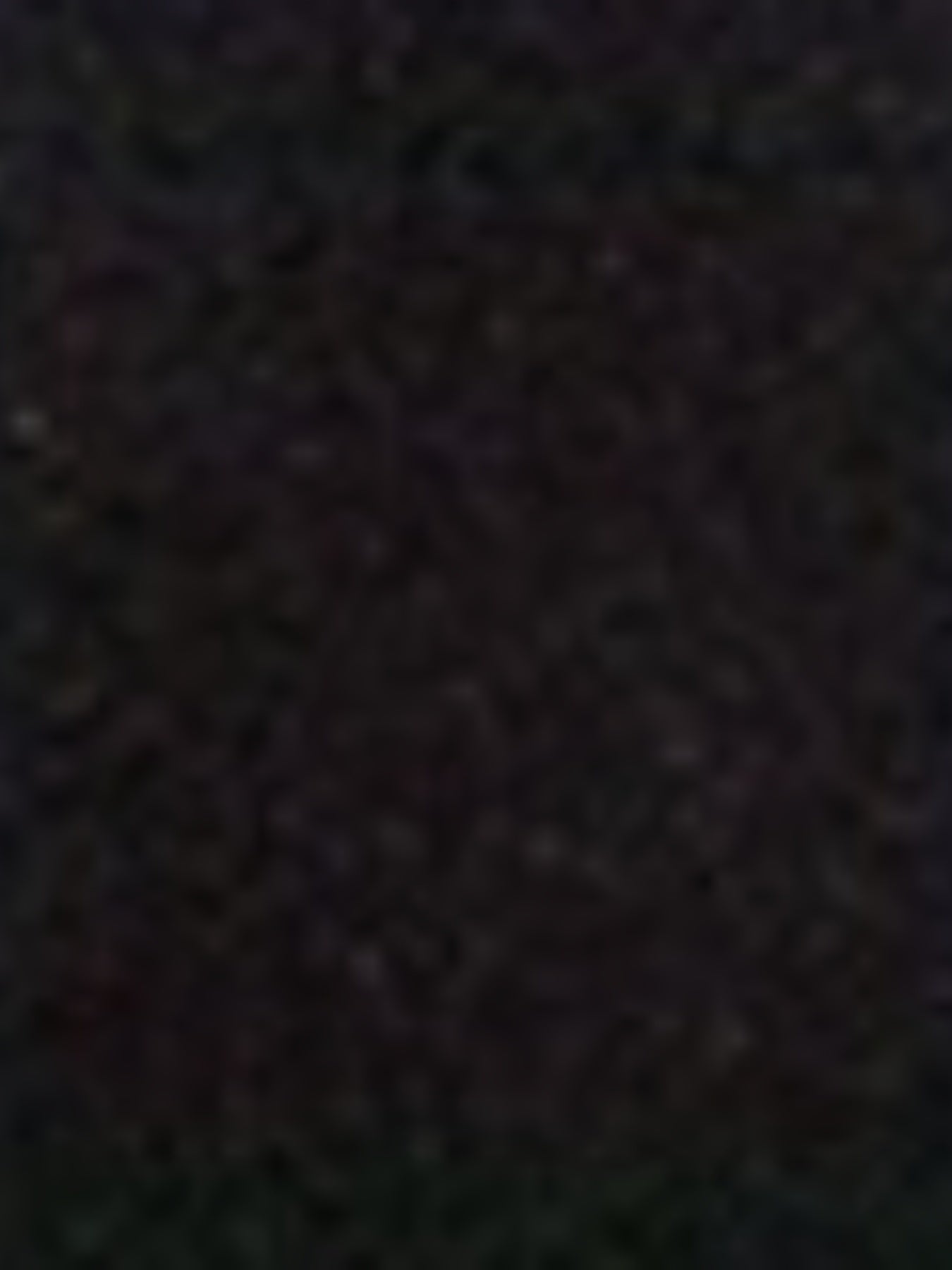 Мужские штаны большого размера свободного кроя для спорта и активного отдыха из тканого полиэстера