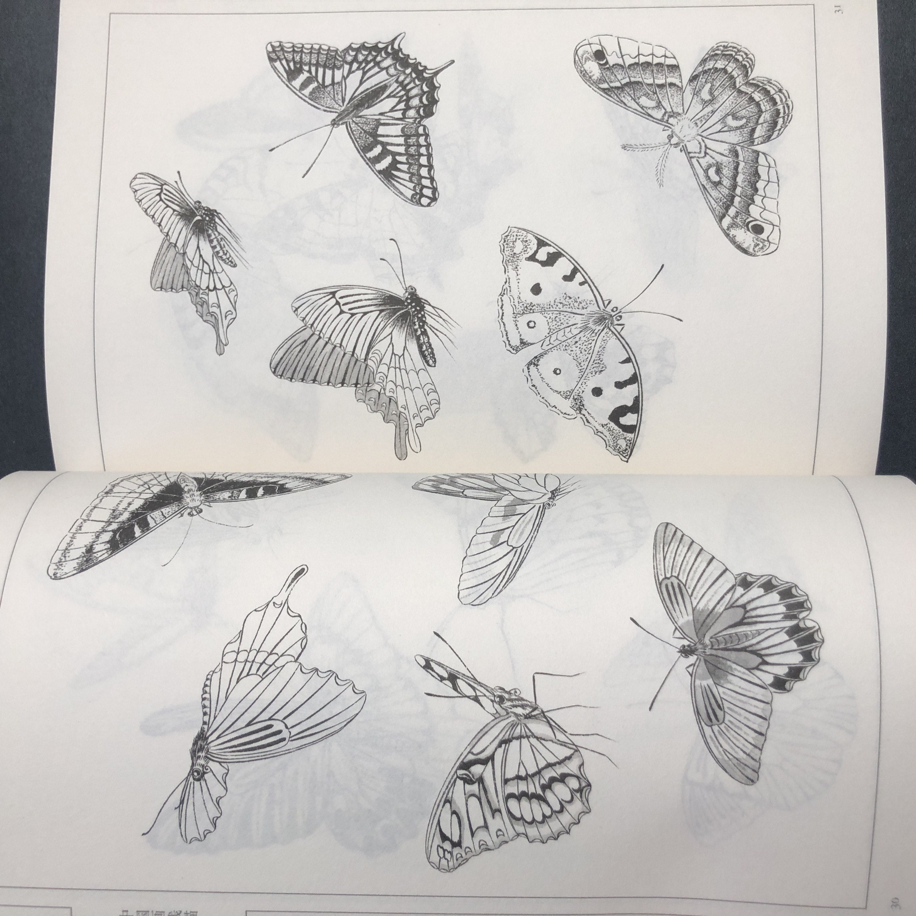 Chinese Painting Style Line Drawing Art Book of Hundred Butterflies