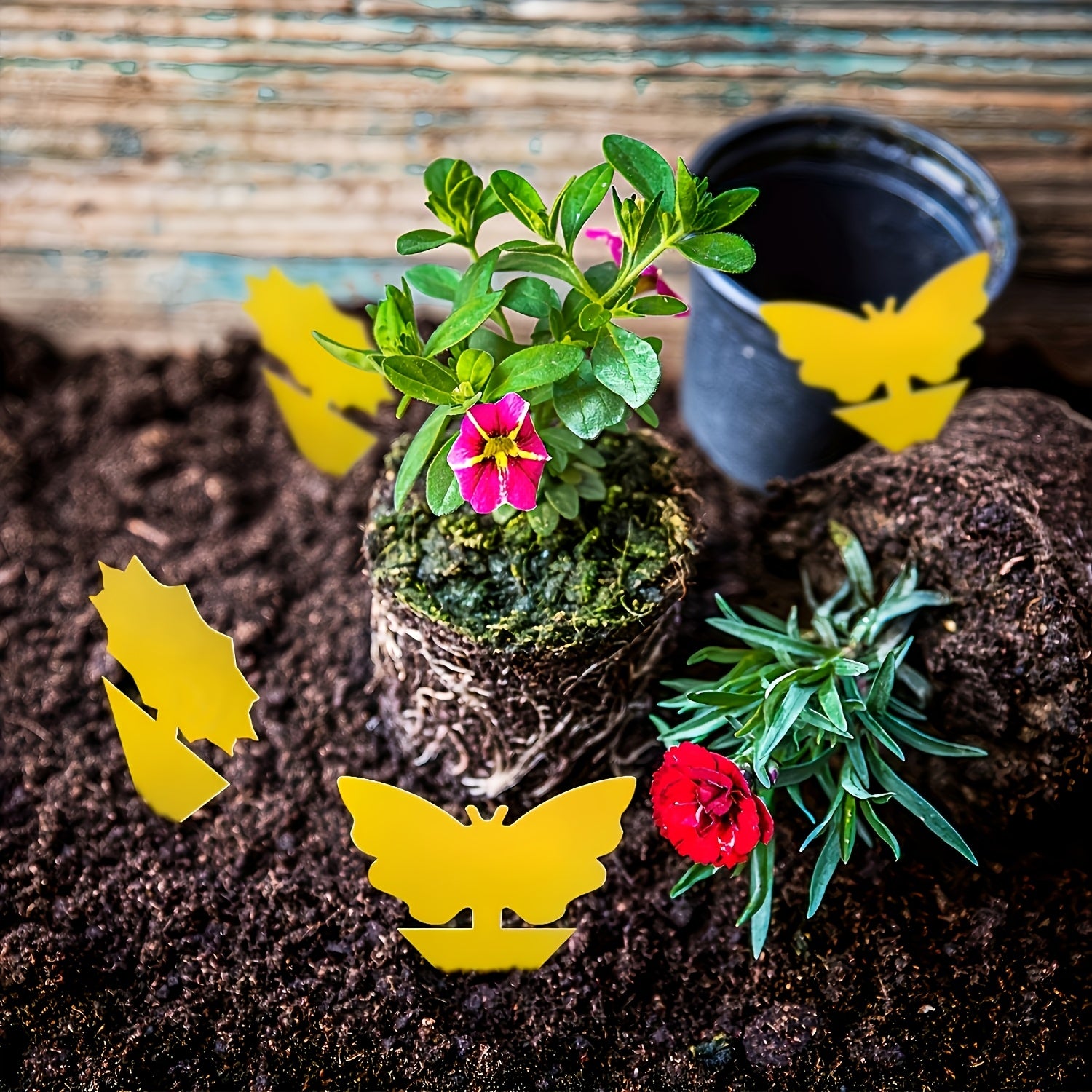 Juego de 30 pegatinas amarillas impermeables duraderas para cebo de insectos y etiquetas