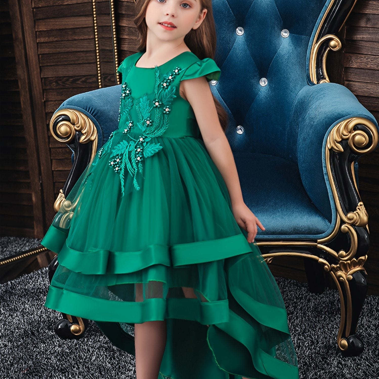 Girls Mesh Flower Embroidered Princess Dress with Fly Sleeve for Party