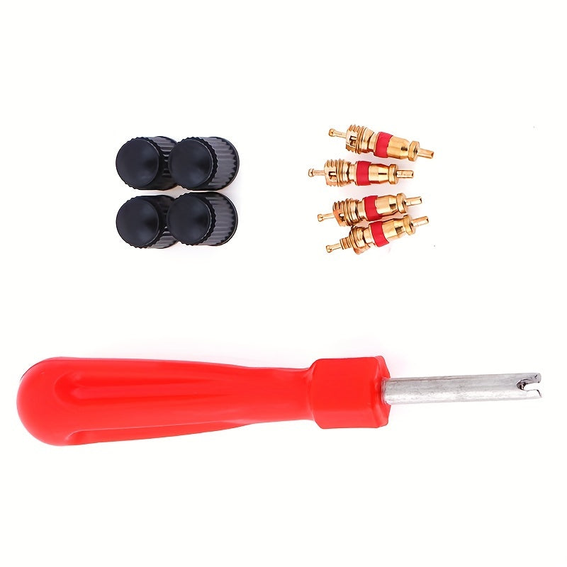 Tire Valve Stem Repair Kit with Dual Head Valve Core Remover and Zinc Alloy Valves