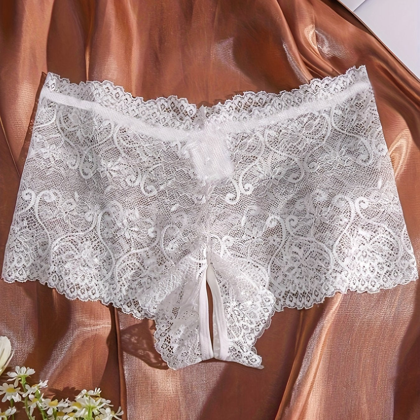 Women's Lace Low Waist Panties Sexy Erotic Lingerie for Women