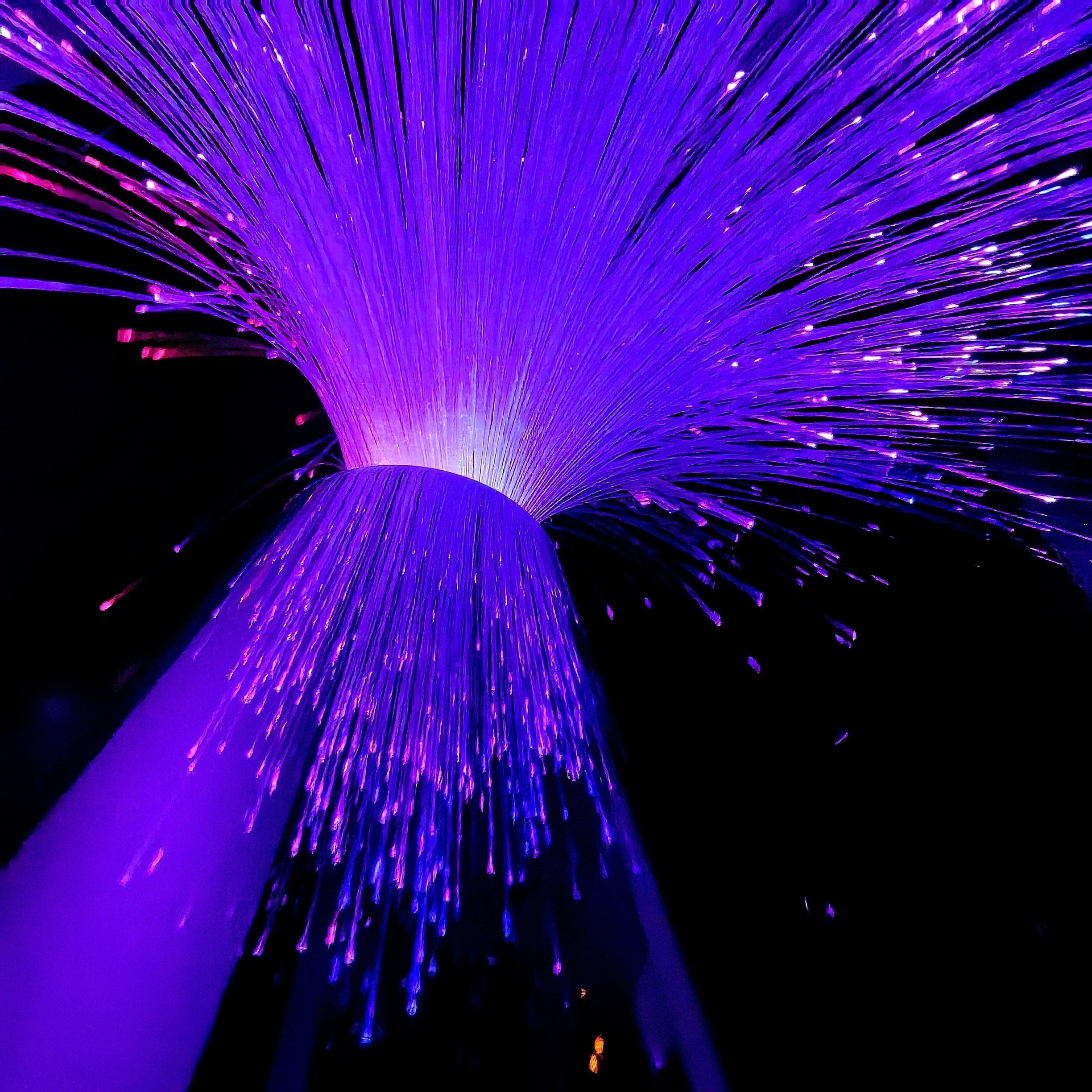 LED Fiber Optic Starry Sky Night Light Battery-Operated Floral Pattern Antique Metal Finish