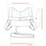 Vibrant Safety Harness with Anti-Lost Traction Rope for Pets in Multiple Colors