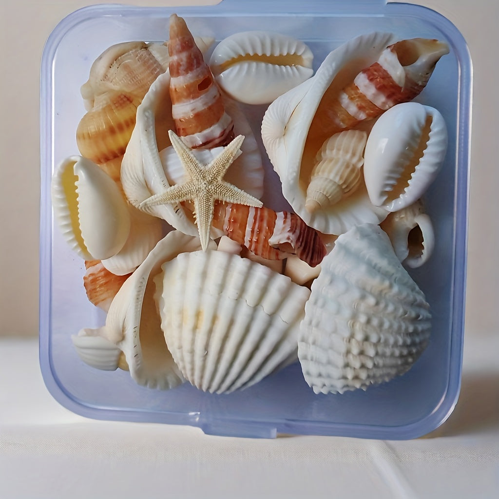 Seashell and Conch Mix for Aquarium Decor Fish Tank Ornaments Crafts