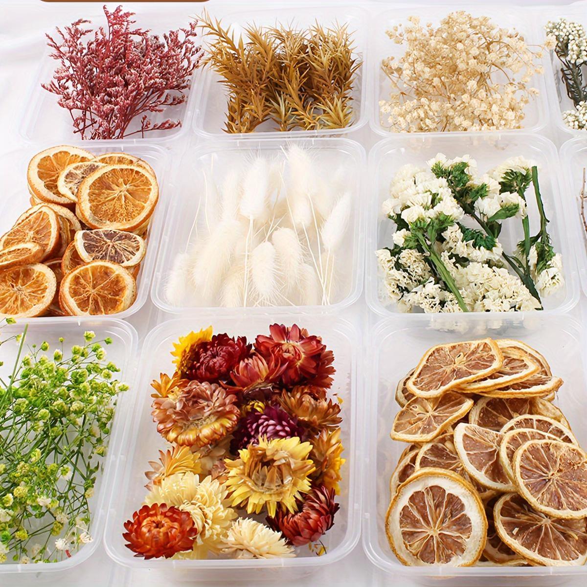 Kit de manualidades navideñas boho-chic Decoración natural a base de plantas para coronas y regalos DIY