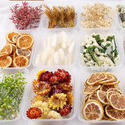 Бохо-Шик Рождественский Набор для Ремесел: Натуральный Растительный Декор для DIY Проектов, Венков и Подарков