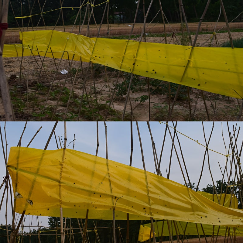 Dual-Sided Insect Fly Catcher Tape Yellow and Blue Waterproof Sunproof Pest Control