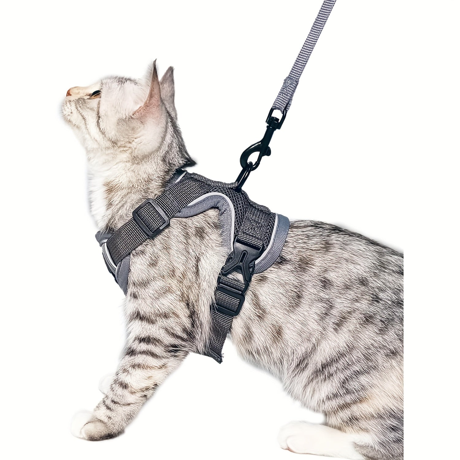 Extra Large Striped Tactical Cat Harness with Quick-Release Buckles and Polyester Material