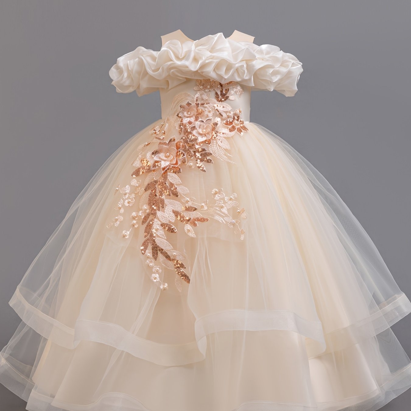 Girls Embroidered Mesh Ball Gown Dress for Parties and Holidays Long Length