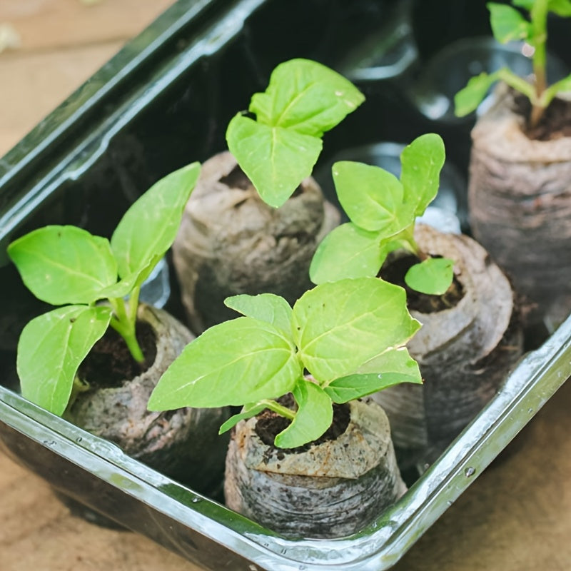 Iniciador de semillas de fibra de planta 20/50/100 para el crecimiento de plántulas, plantas herbáceas, verduras y flores