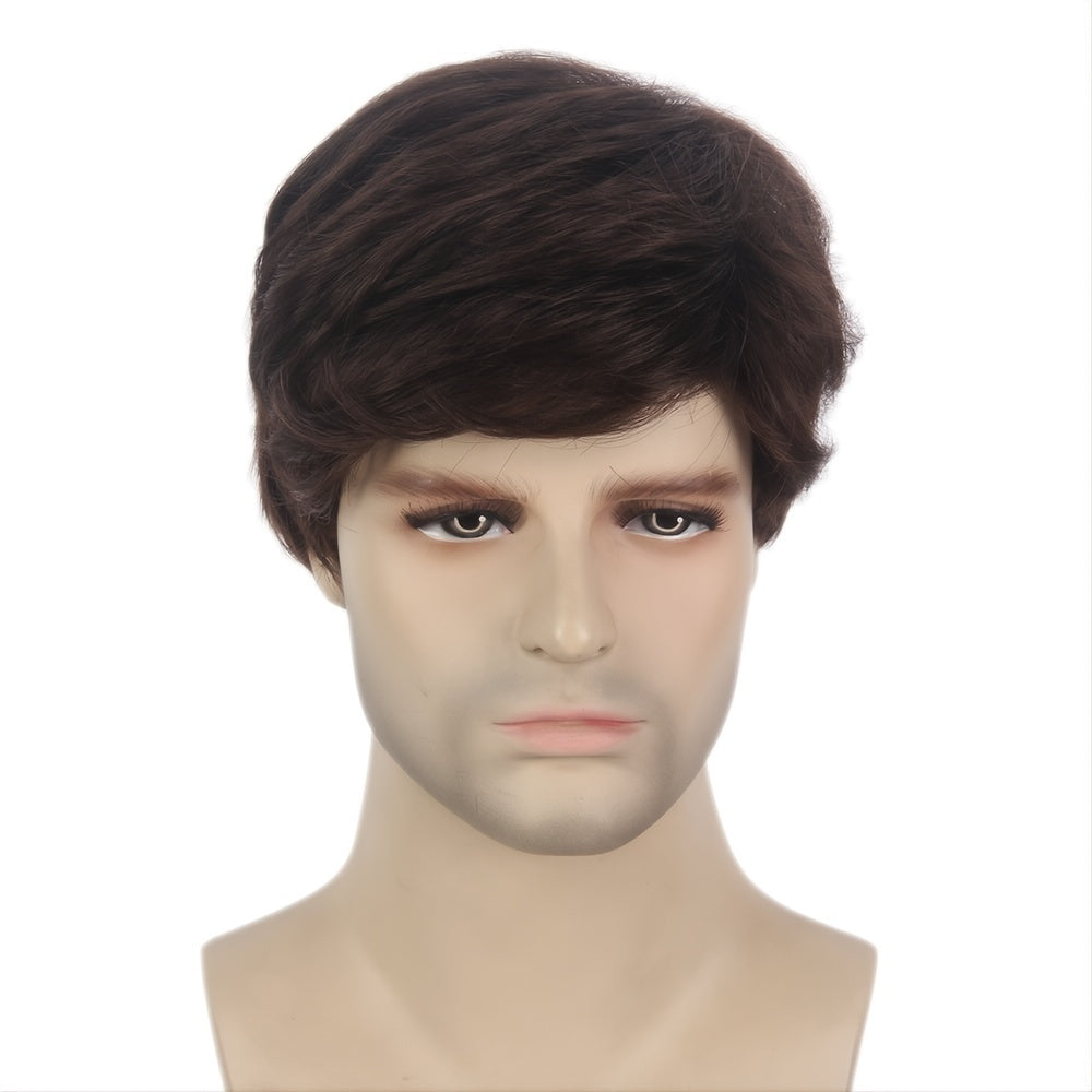 Men's Brown Short Curly Hair Wig for Daily Wear 1 Piece