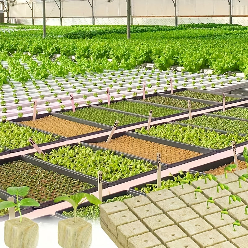 Hydroponic Seed Starter Cubes 100/50pcs for Soilless Seedling Cultivation Gardening