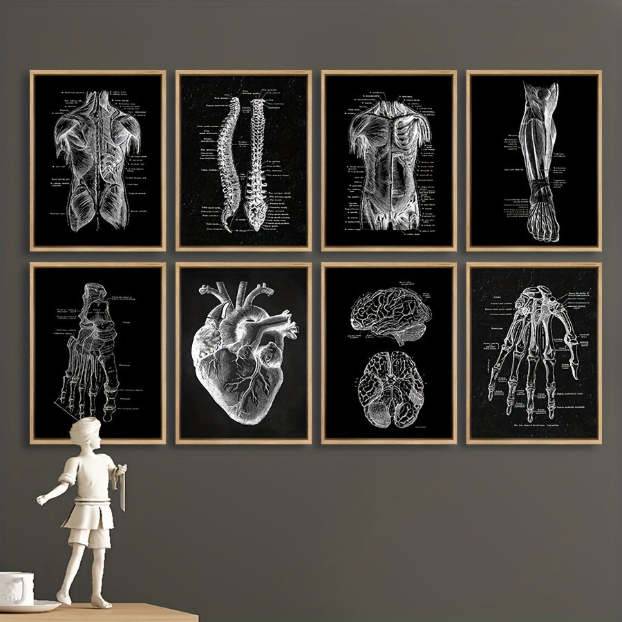 Set of 8 Vintage Anatomy Posters Wall Art Decor Waterproof Frameless Canvas Prints for Living Room Bedroom Cafe