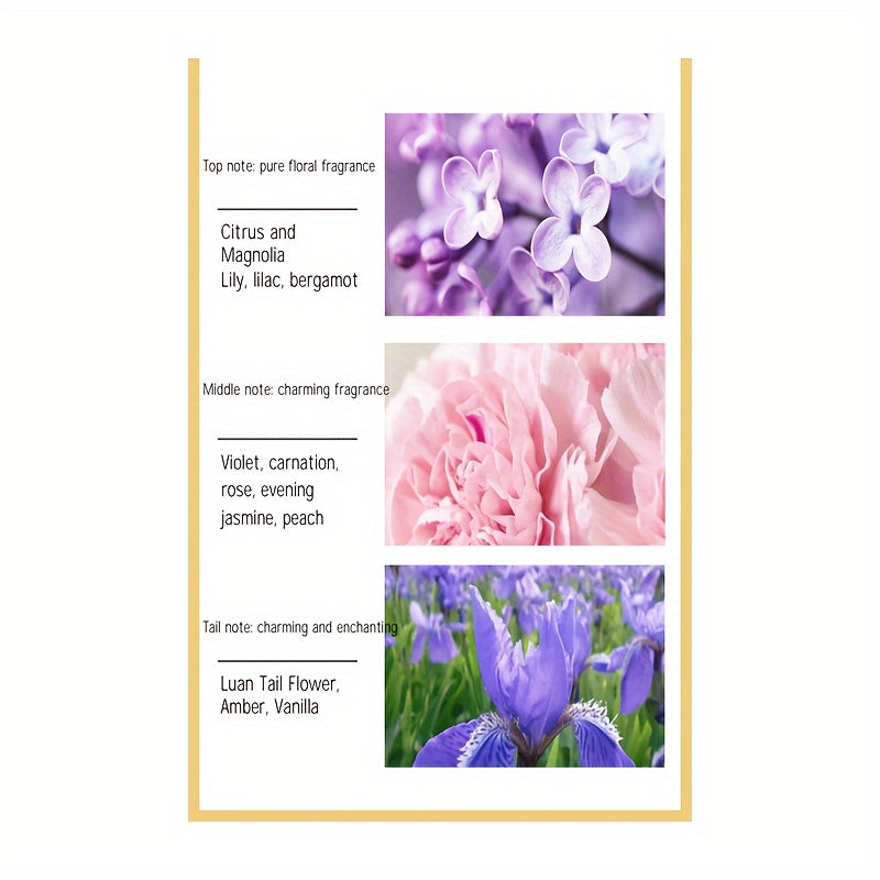 Women's Rose Amber Citrus Perfume 50ml Eau De Parfum Floral and Citrus Notes