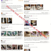 Women's Breathable Mesh Leopard Print Sneakers with Platform Sole and Low-Top Design