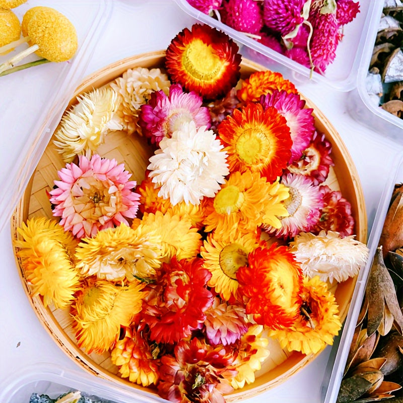 Бохо-Шик Рождественский Набор для Ремесел: Натуральный Растительный Декор для DIY Проектов, Венков и Подарков