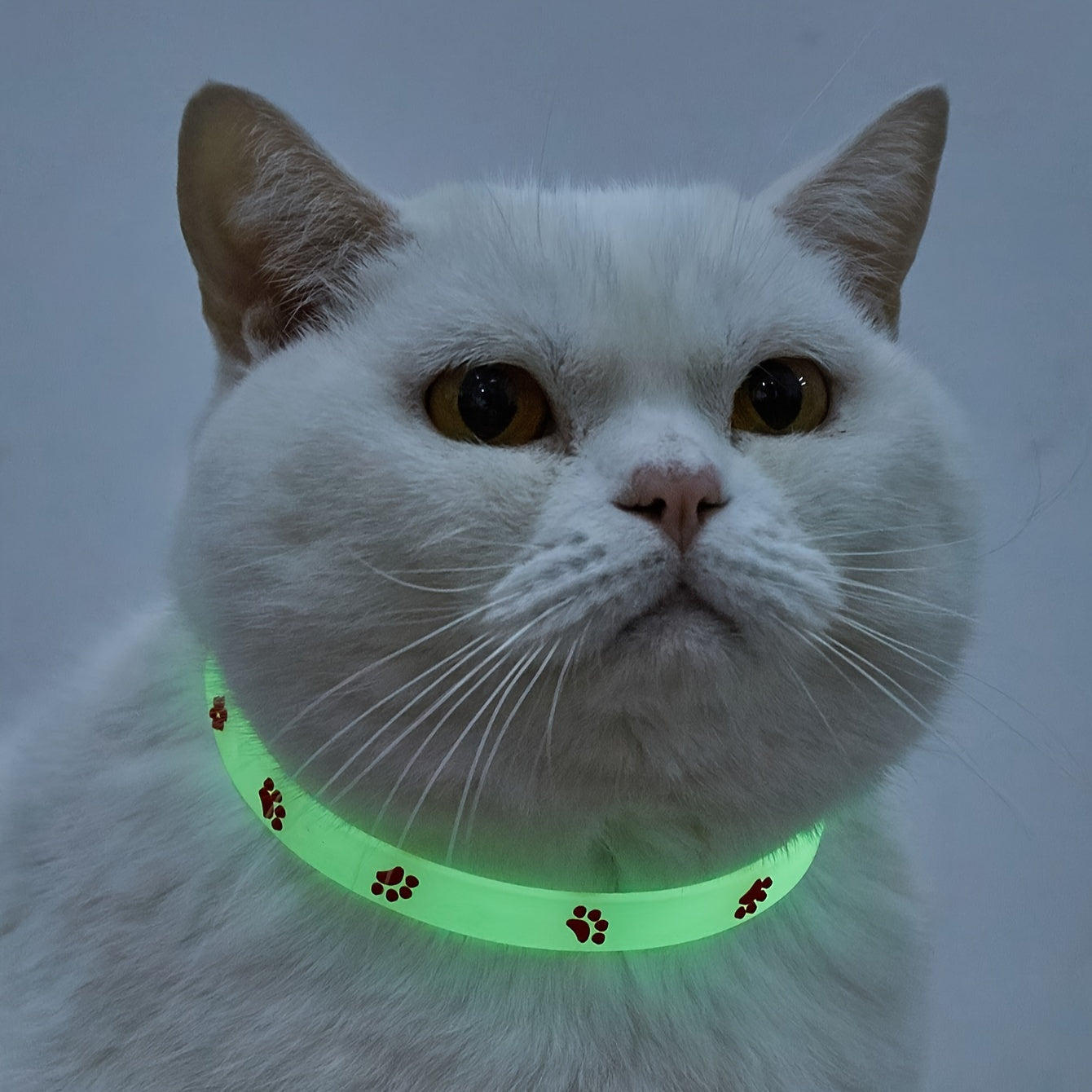 Collar ajustable para gato que brilla en la oscuridad con huellas de colores y material de goma