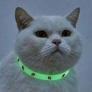 Adjustable Glow-in-the-Dark Cat Collar with Colorful Paw Print and Rubber Material