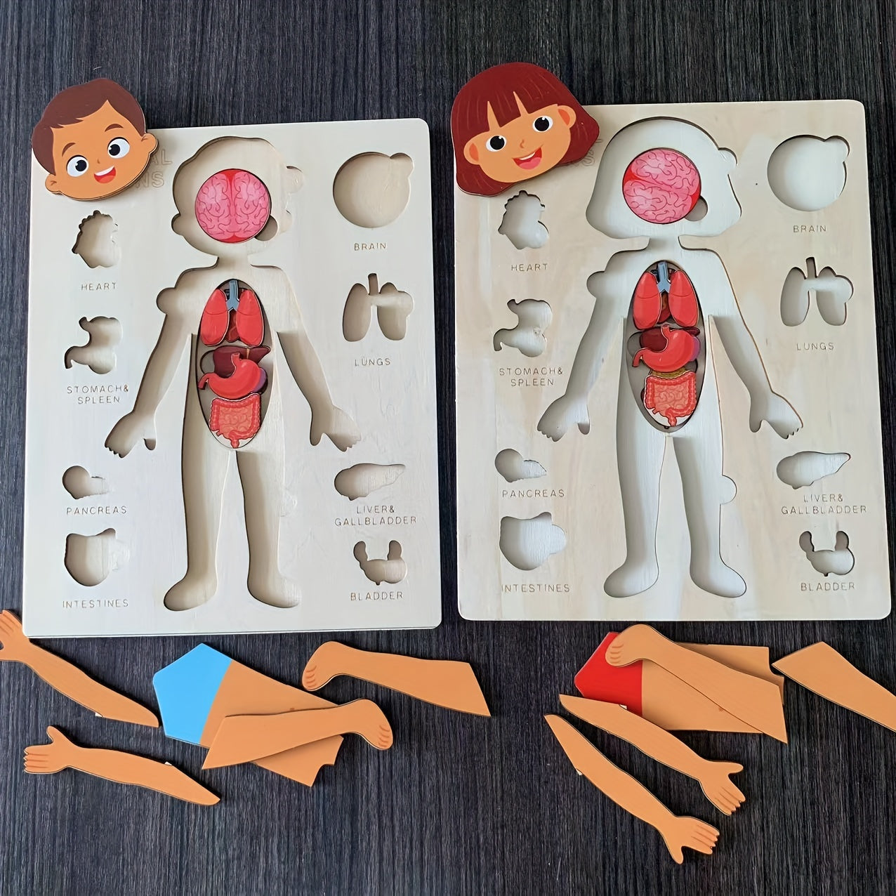Children's Wooden Human Body Puzzle Educational Toy for Early Childhood Development