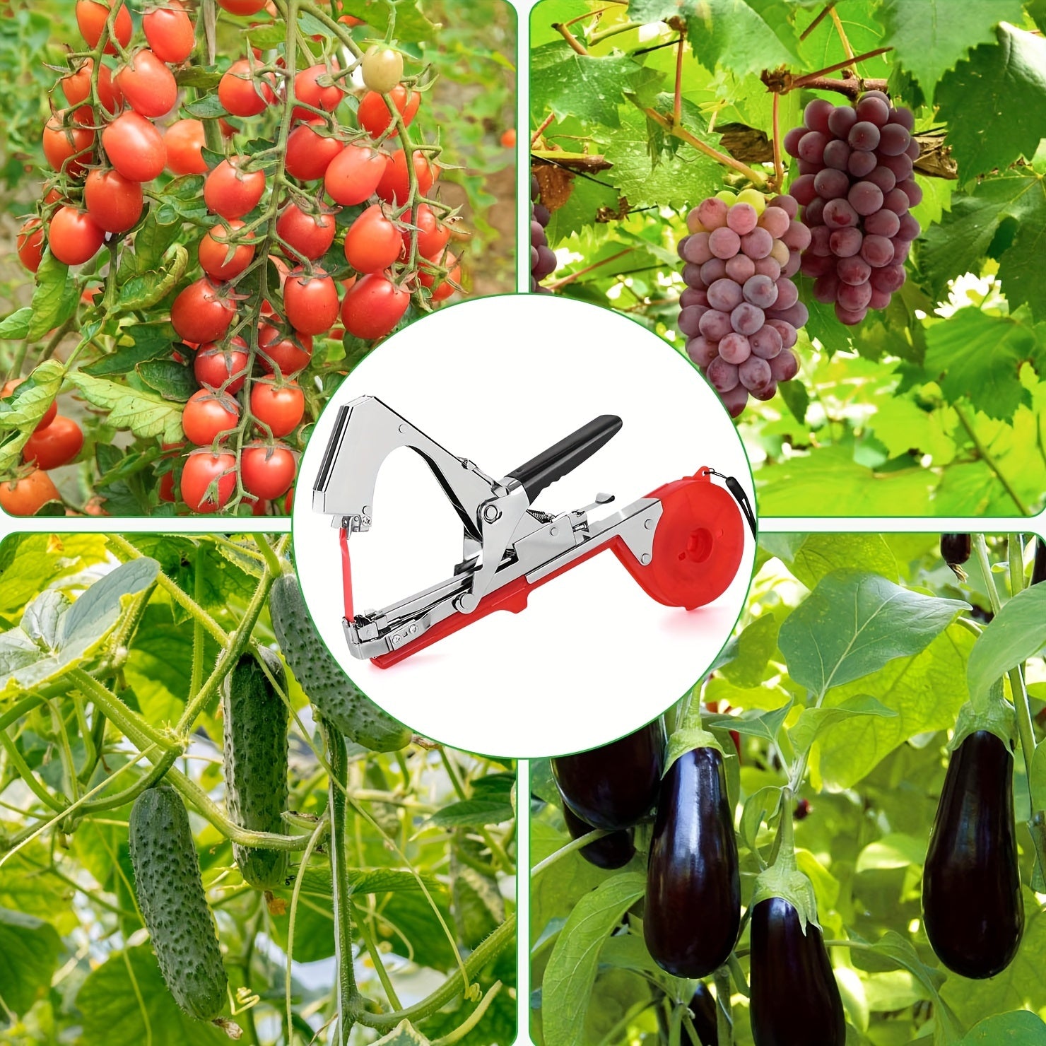 Plant Tying Machine for Grapes Raspberries Tomatoes Vining Vegetables Flowers