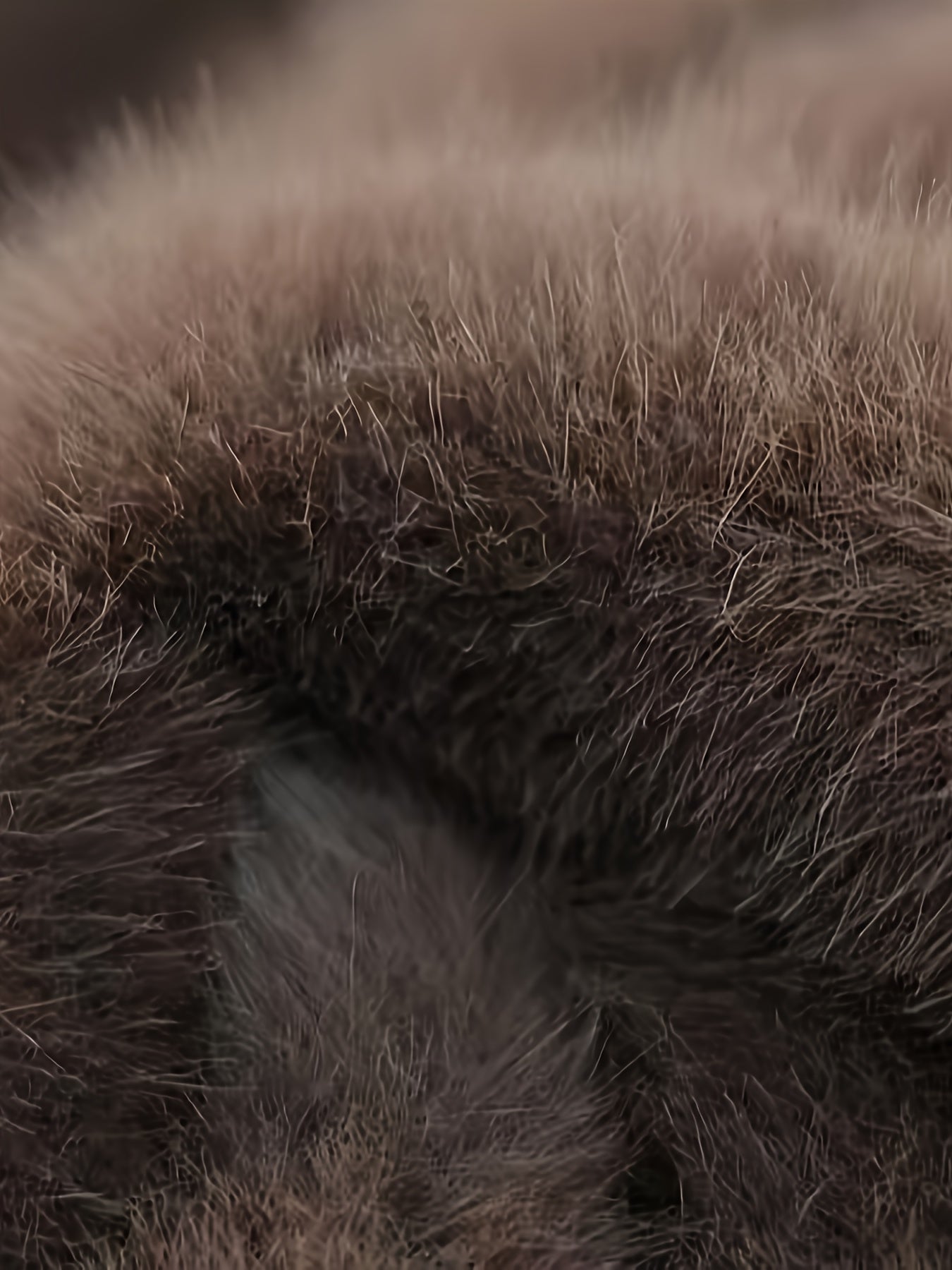 Abrigo de invierno de pelo sintético para mujer, color sólido, tela de punto, elegante, poliéster, con bolsillo