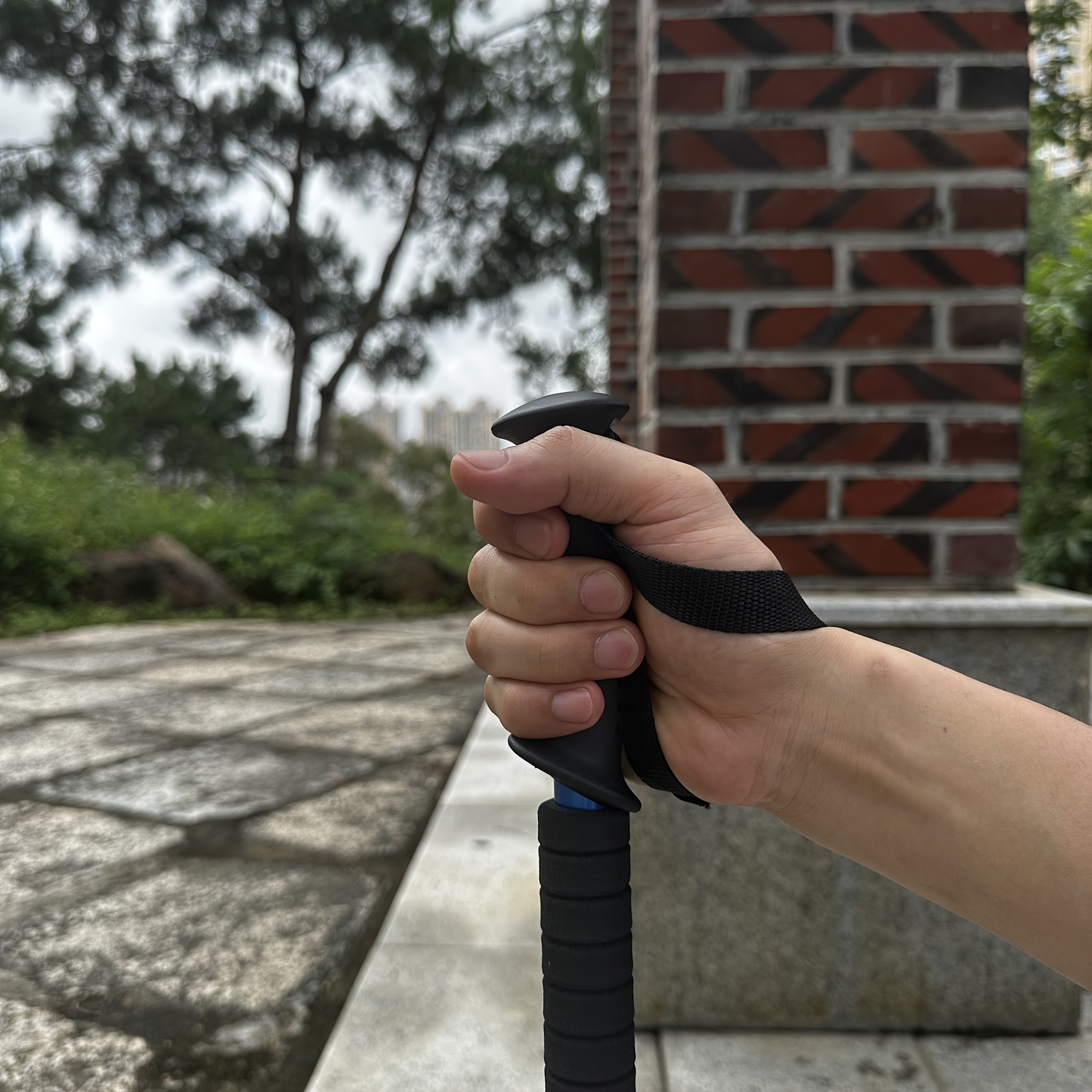 2pcs Aluminum Trekking Poles Shock-Absorbing Collapsible Adjustable for Hiking and Walking