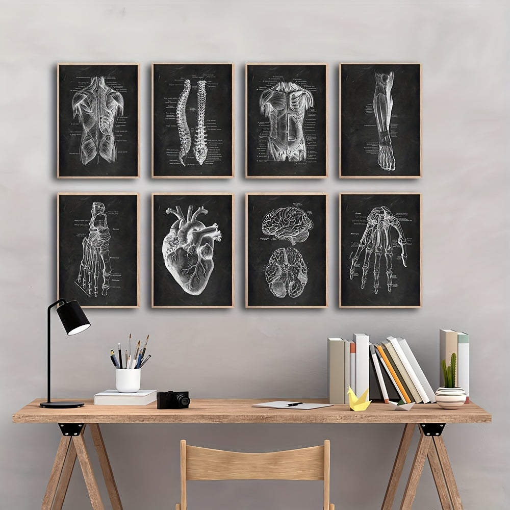 8 Pieces Human Anatomy Canvas Art Prints Skeleton Muscle Medical Posters for Education and Study Room Decor
