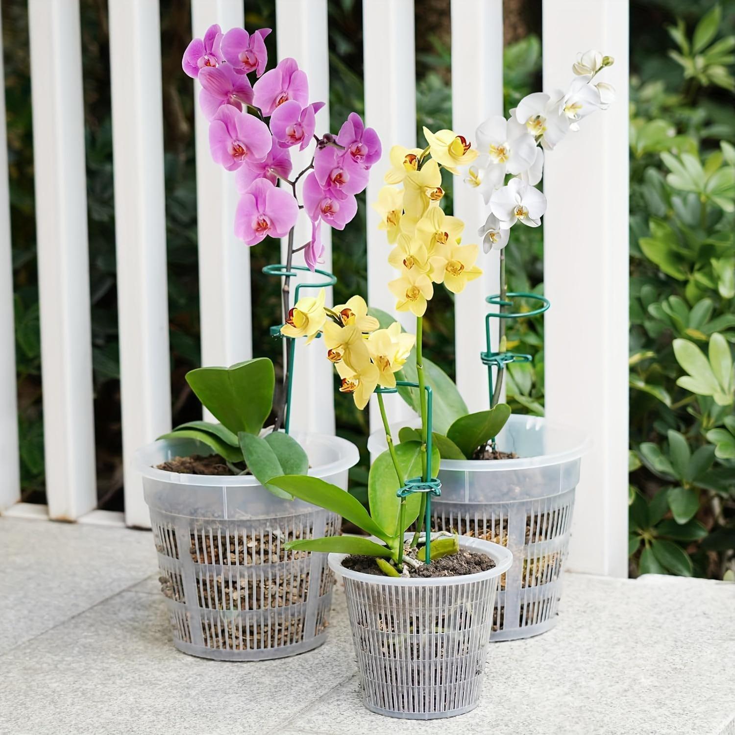 Set of 5 Transparent Plastic Orchid Pots with Drainage Holes and Slotted Design for Indoor and Outdoor Use