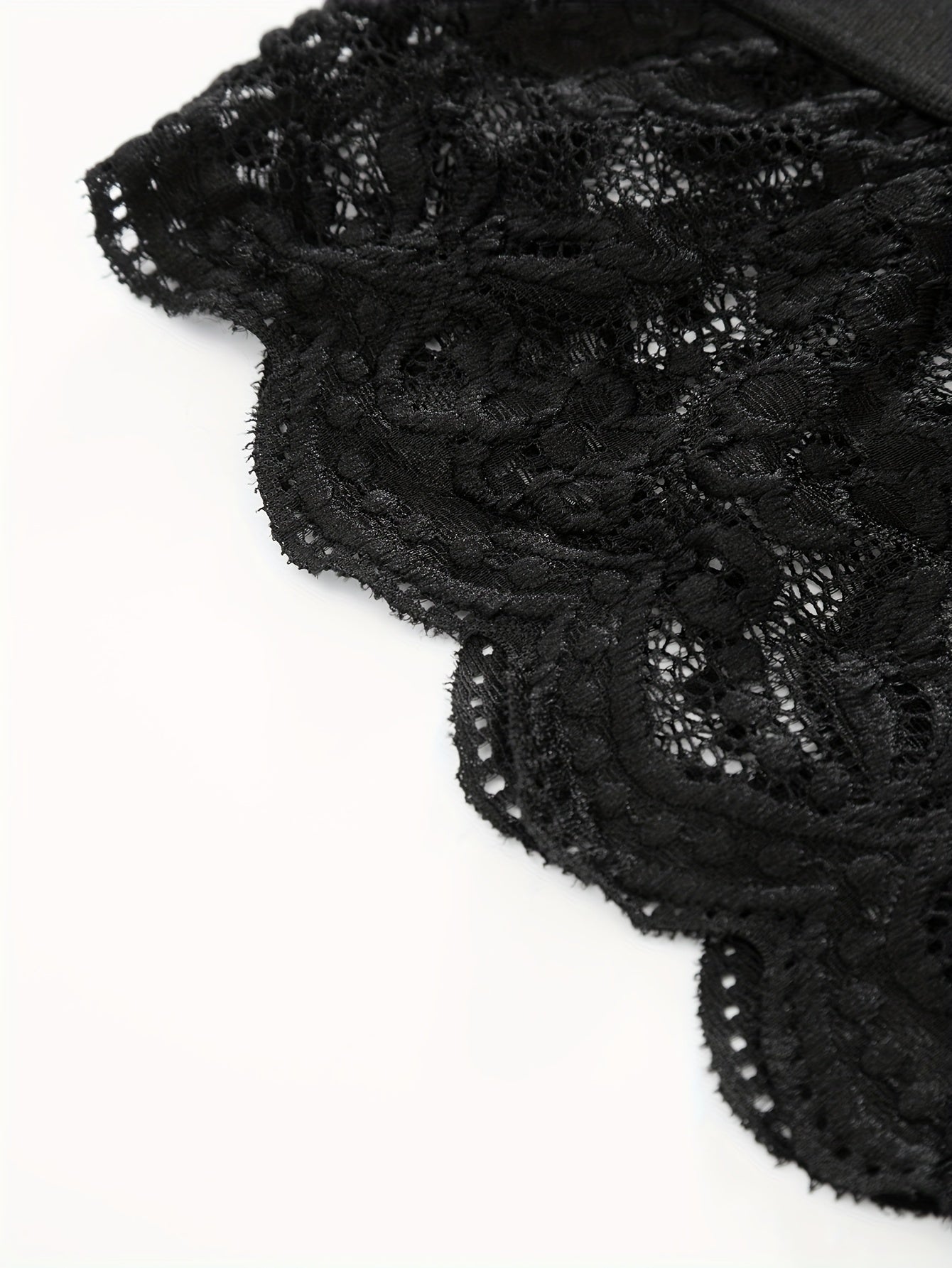 Plus Size Lace Lingerie Set Floral Semi Sheer Bra and Panty