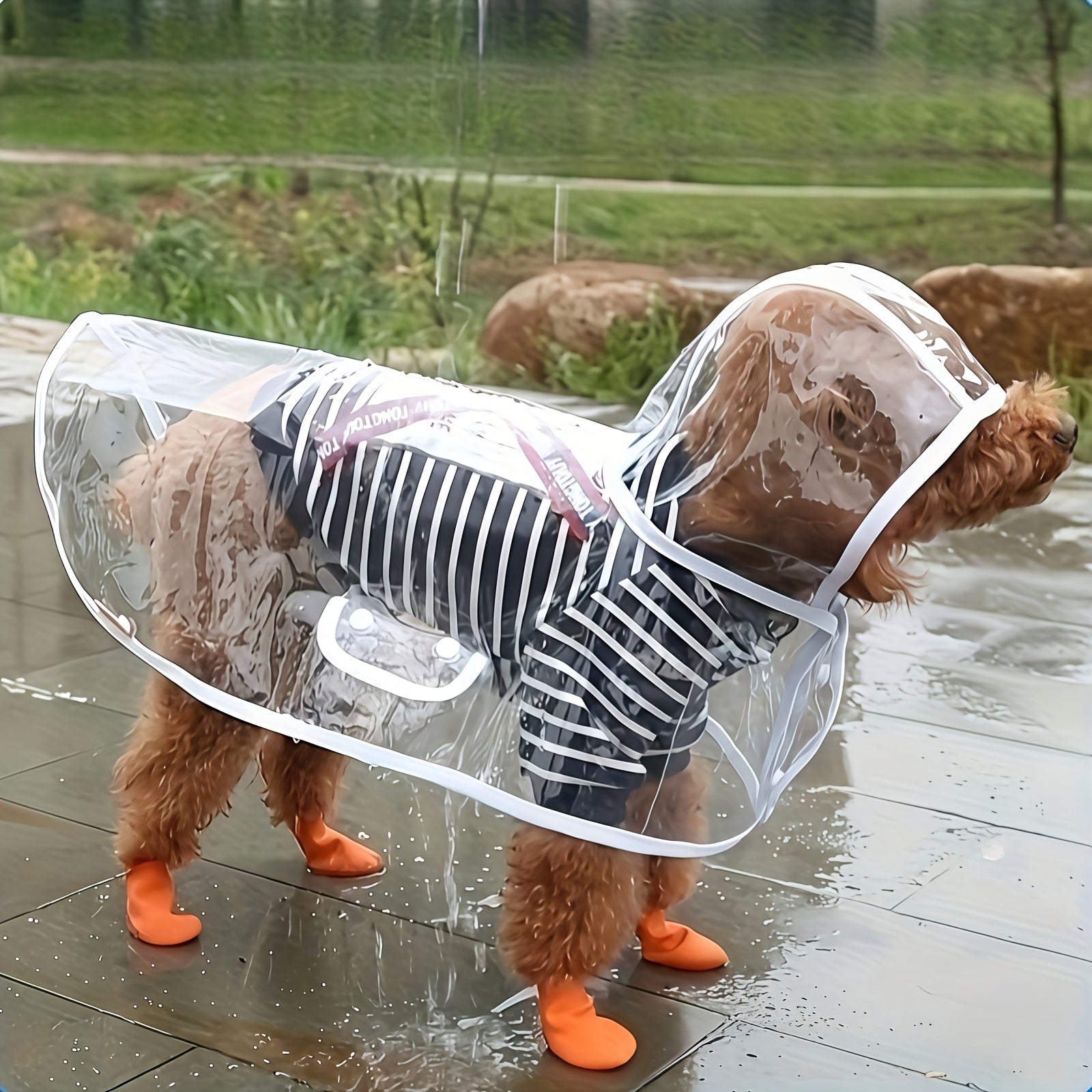 Waterproof Dog Raincoat ABS PVC Transparent Adjustable Press Buckle All Sizes