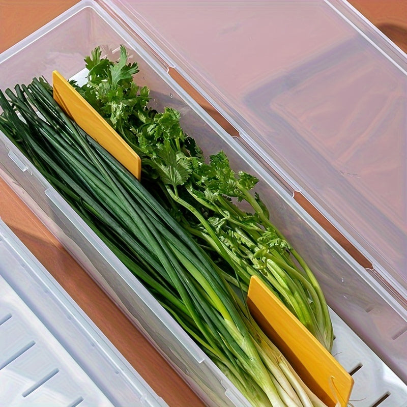 Clear Plastic Vegetable Storage Box with Drainage for Kitchen Organization