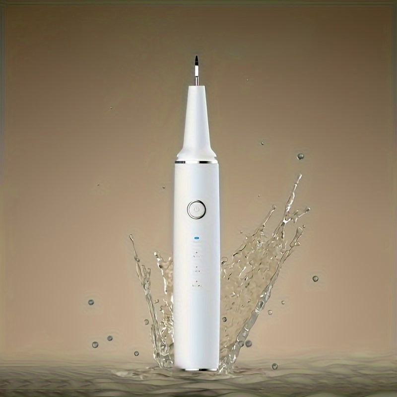 USB Rechargeable Electric Tooth Cleaner with LED Light and Interchangeable Brush Heads