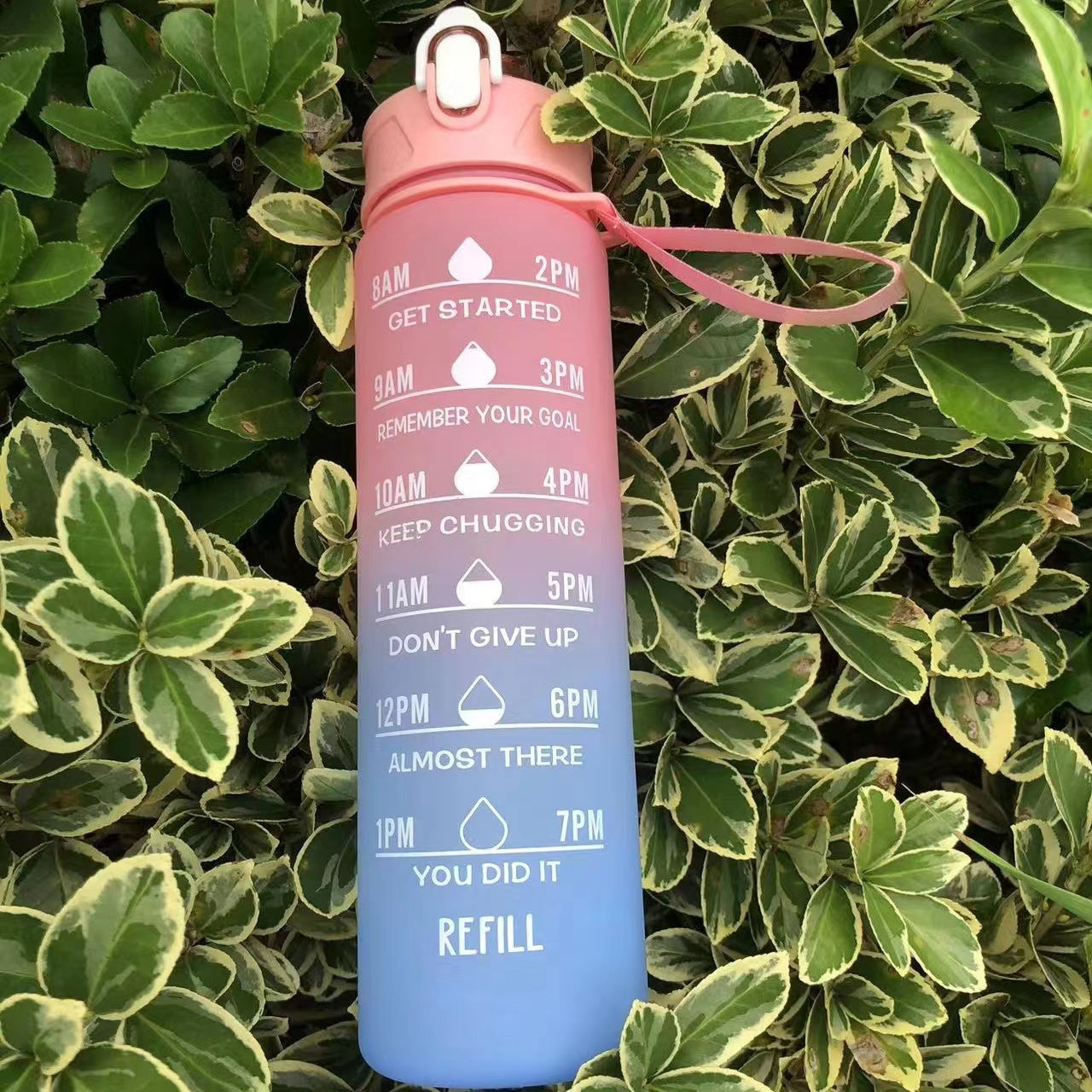 Leakproof BPA-Free Water Bottle for Camping Hiking Fitness and Home Use